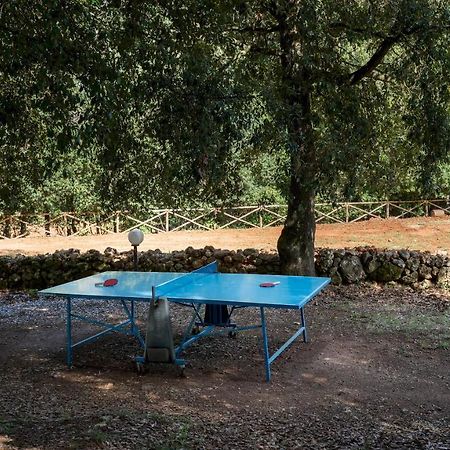 Borgo Gallinaio 32, Emma Villas 锡耶纳 外观 照片